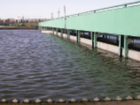 淮南市污水處理廠防水防滲工程